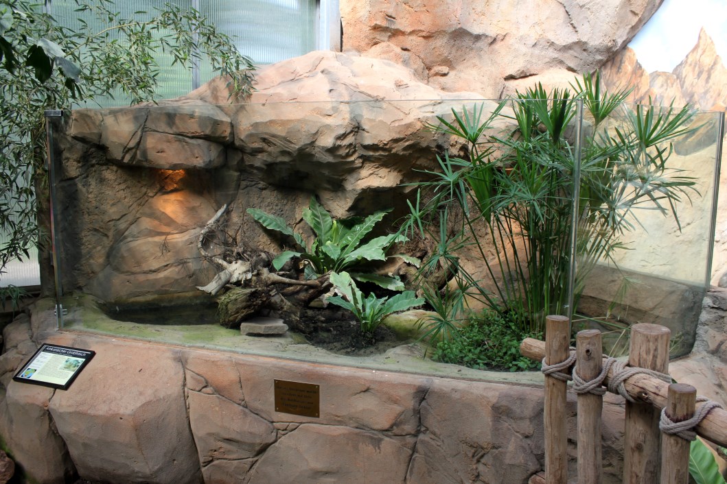 Magdeburg Zoo - Africambo (Rhino House)