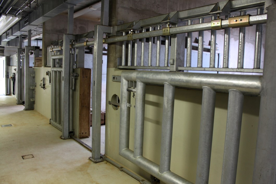 Magdeburg Zoo - Africambo (Rhino House)