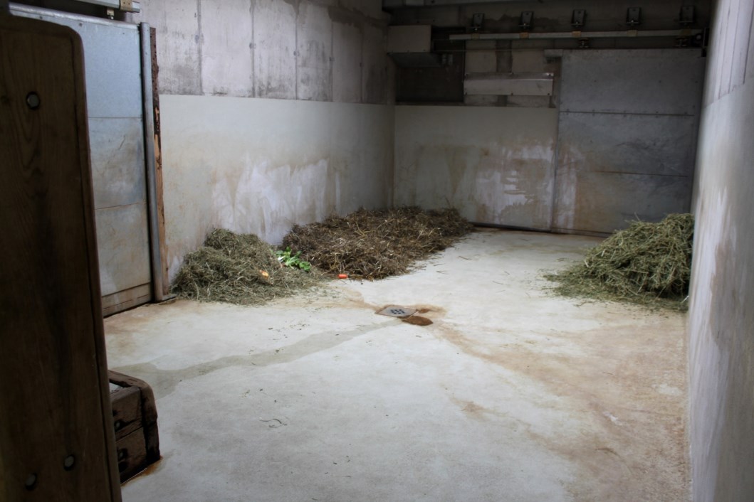 Magdeburg Zoo - Africambo (Rhino House)