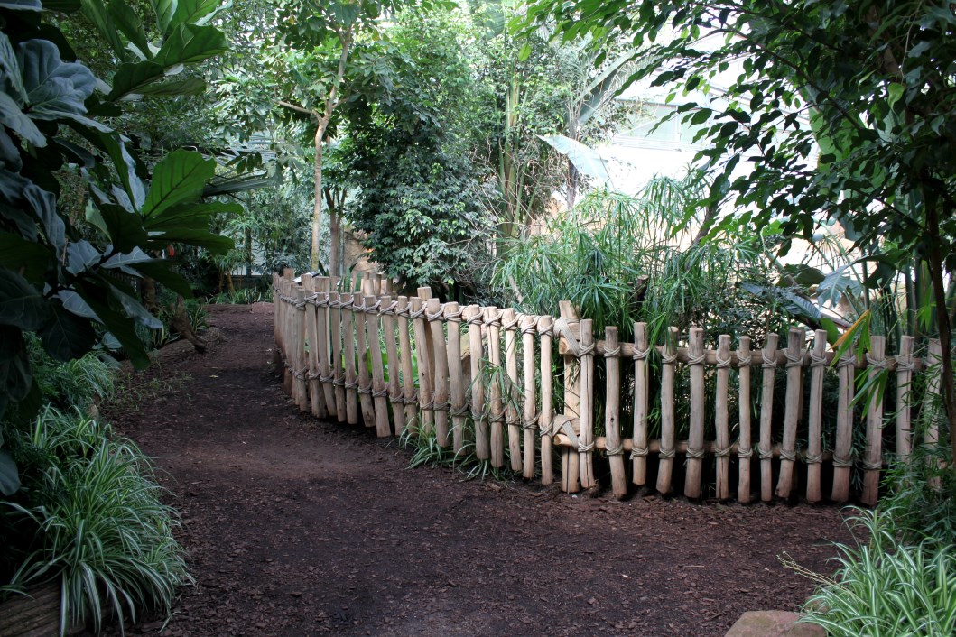 Magdeburg Zoo - Africambo (Rhino House)