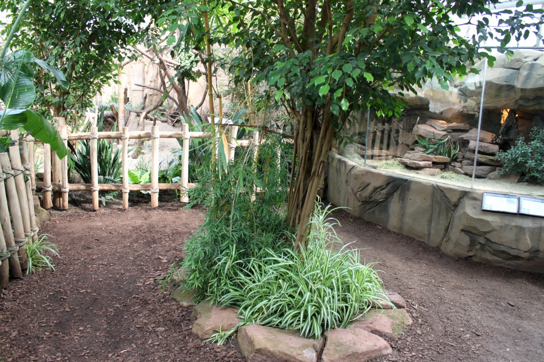 Magdeburg Zoo - Africambo (Rhino House)