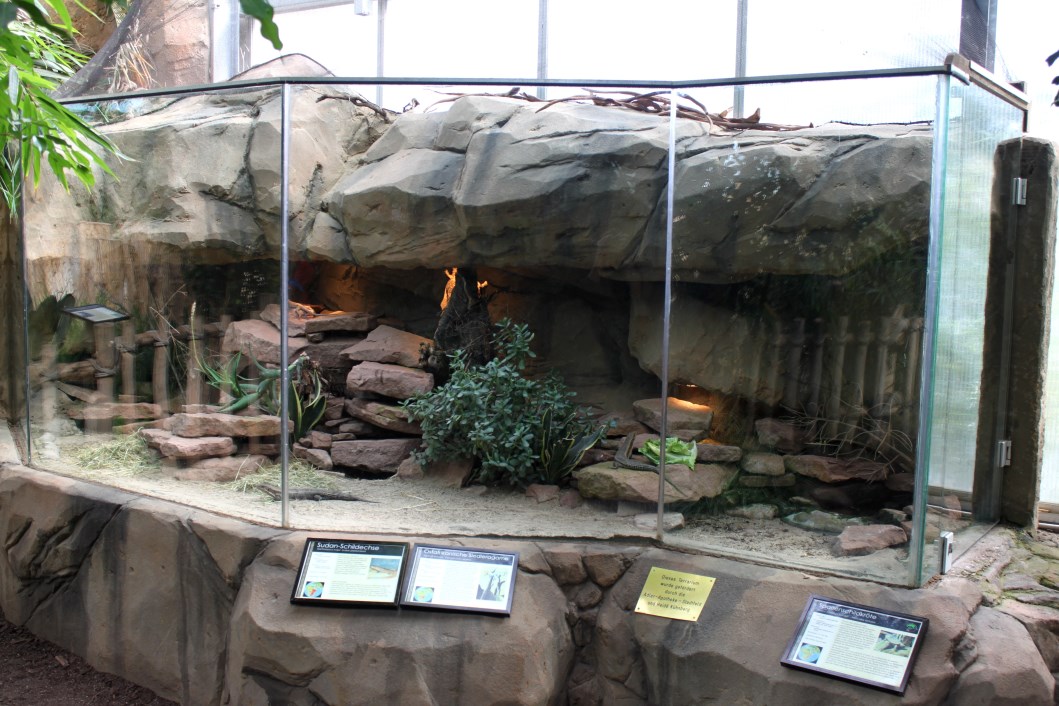 Magdeburg Zoo - Africambo (Rhino House)
