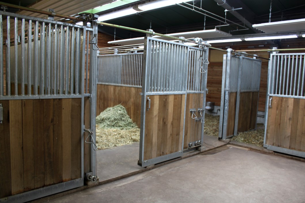 Magdeburg Zoo - Africambo (Savannah House)