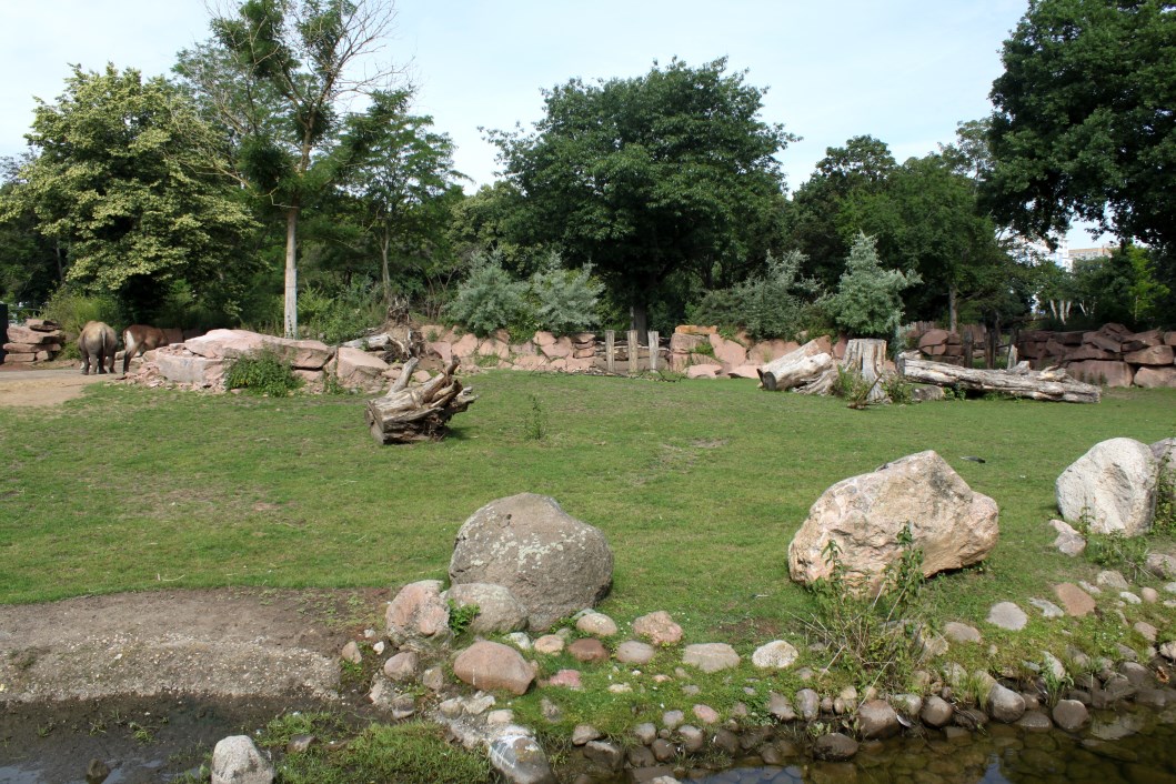 Magdeburg Zoo - Africambo (Savannah)