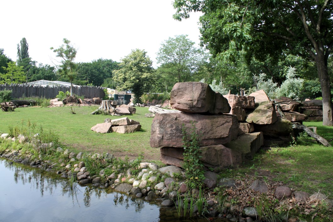 Magdeburg Zoo - Africambo (Savannah)