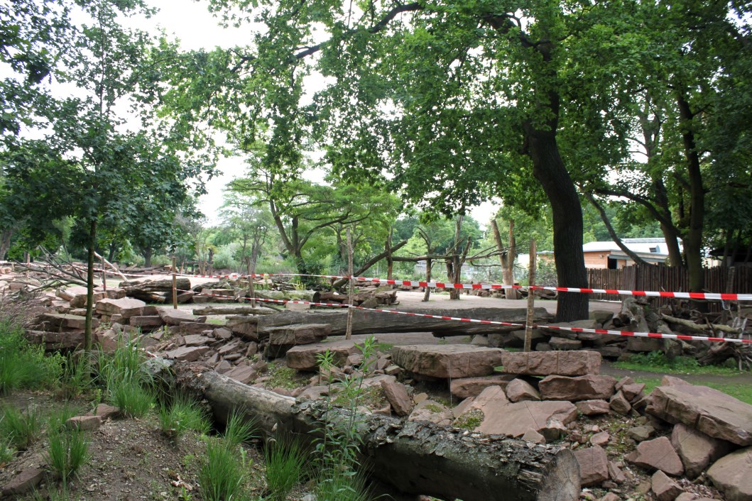 Magdeburg Zoo - Africambo (Savannah)