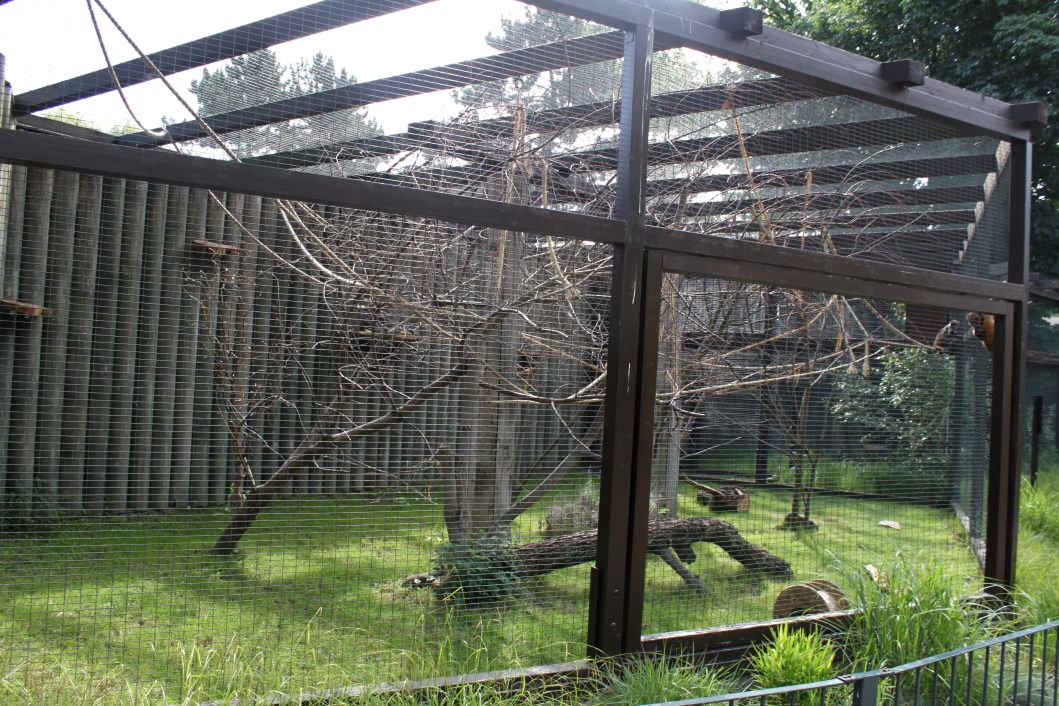 Magdeburg Zoo - Capuchin exhibit