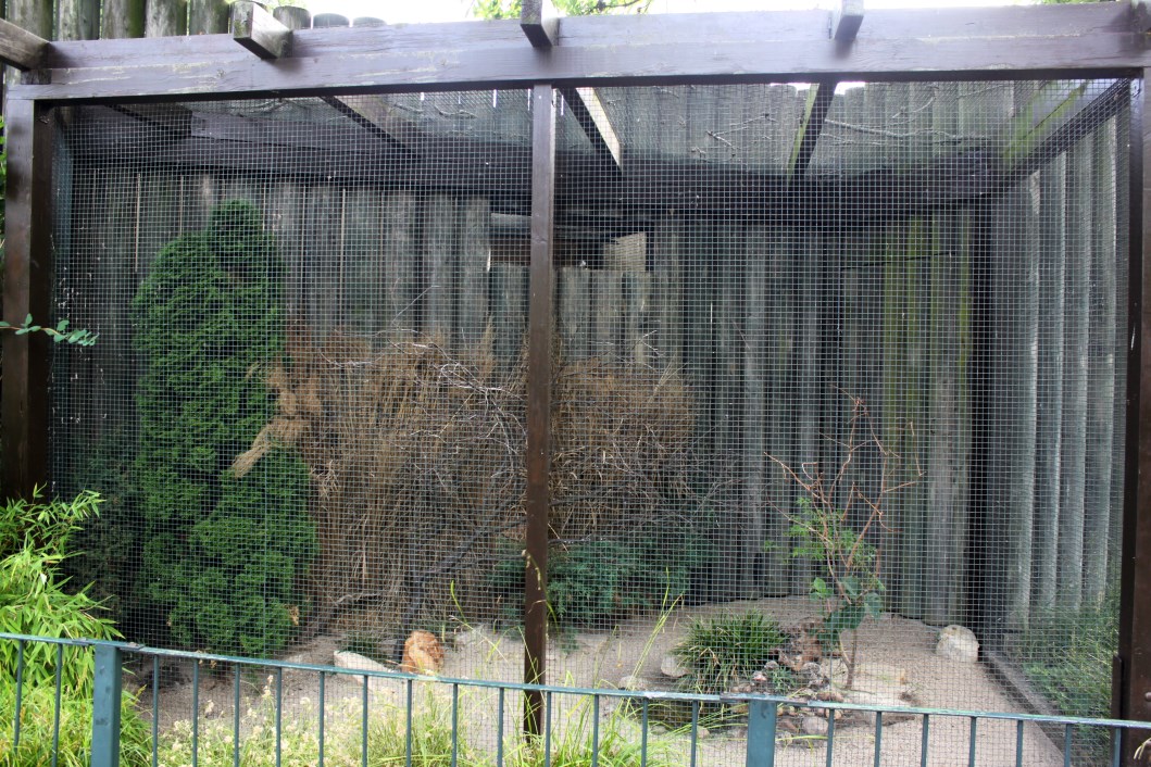 Magdeburg Zoo - Finch/dove aviary