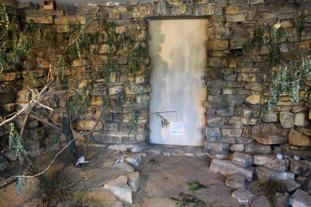 Magdeburg Zoo - Finch/dove aviary