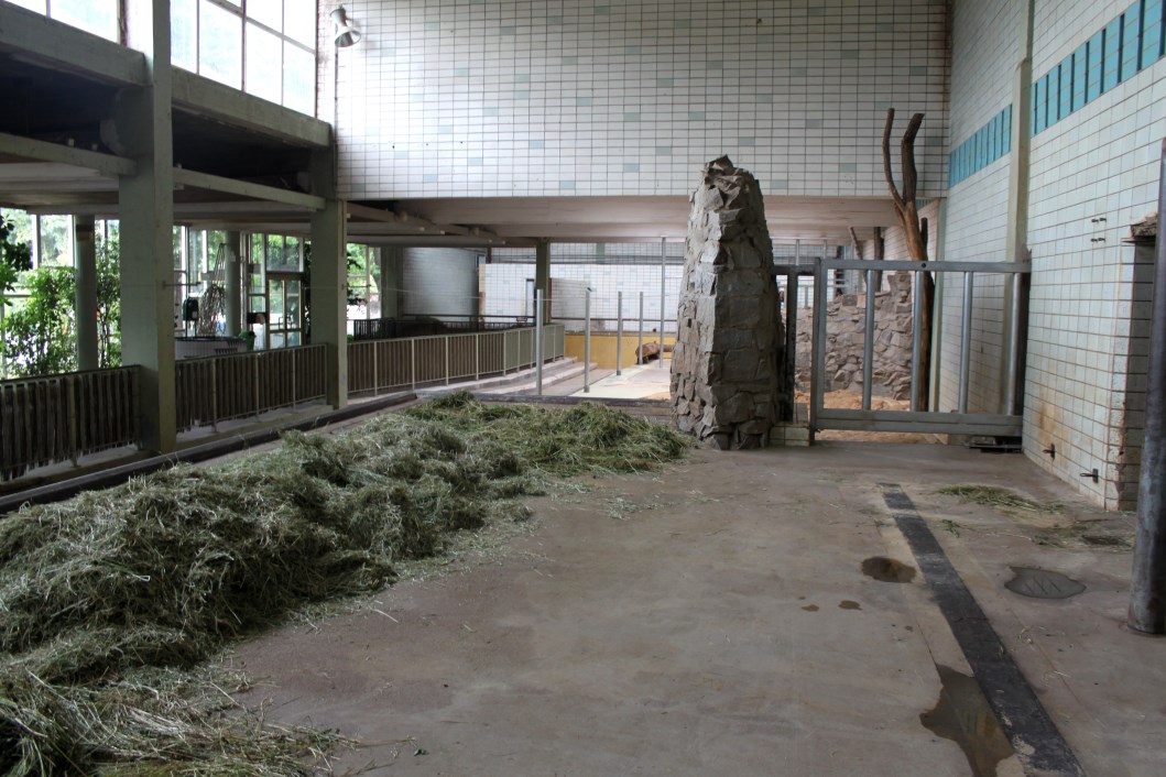 Magdeburg Zoo - Pachyderm House (Backstage)