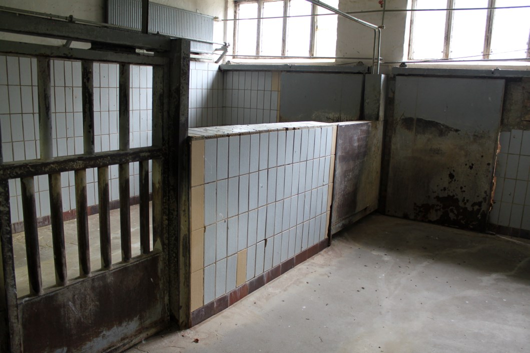 Magdeburg Zoo - Pachyderm House (Backstage)