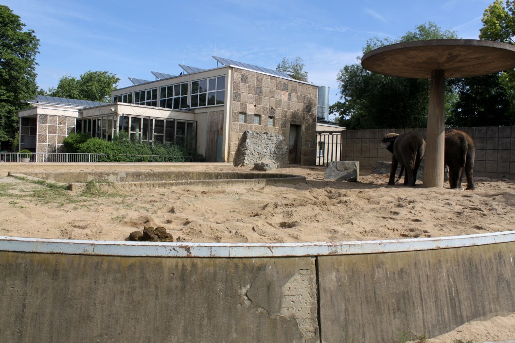 Magdeburg Zoo - Pachyderm House (Elephant)