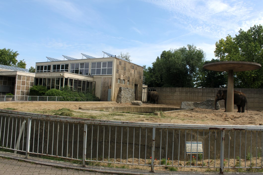 Magdeburg Zoo - Pachyderm House (Elephant)