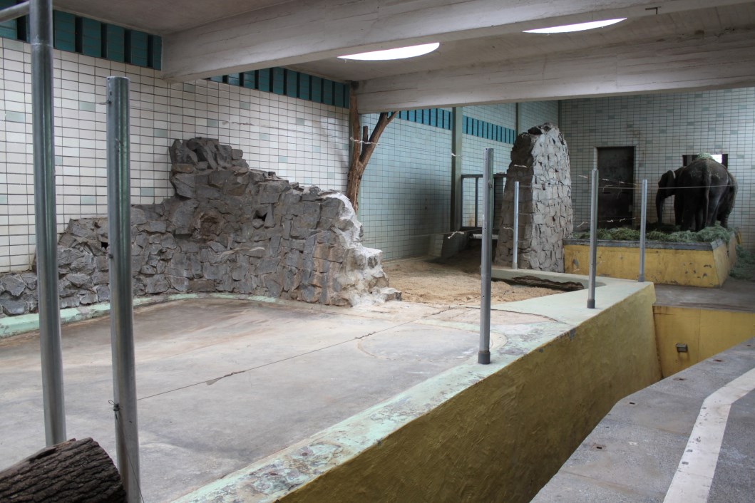 Magdeburg Zoo - Pachyderm House (Elephant)