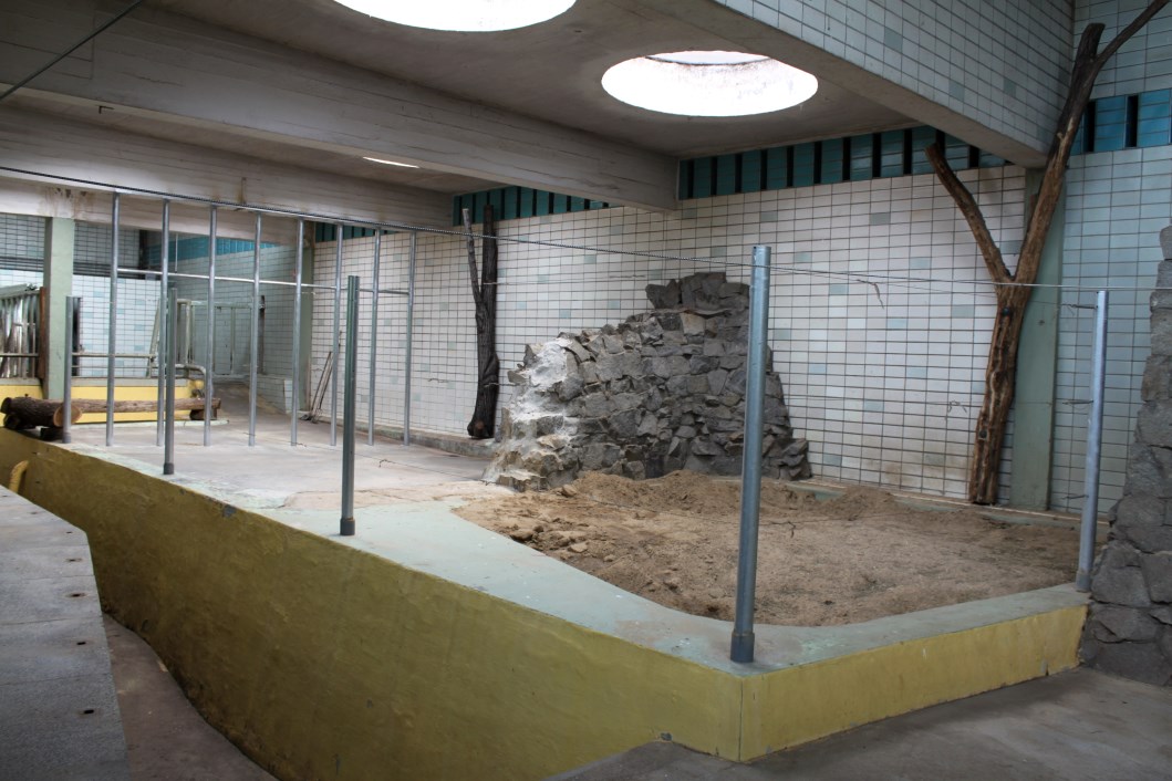 Magdeburg Zoo - Pachyderm House (Rhino/elephant)