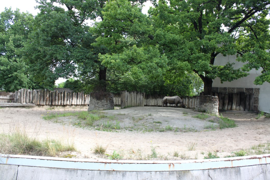 Magdeburg Zoo - Pachyderm House (Rhino)