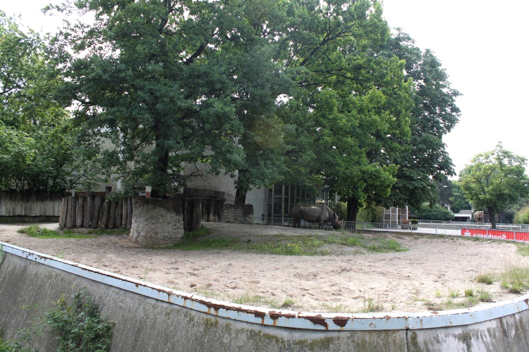 Magdeburg Zoo - Pachyderm House (Rhino)