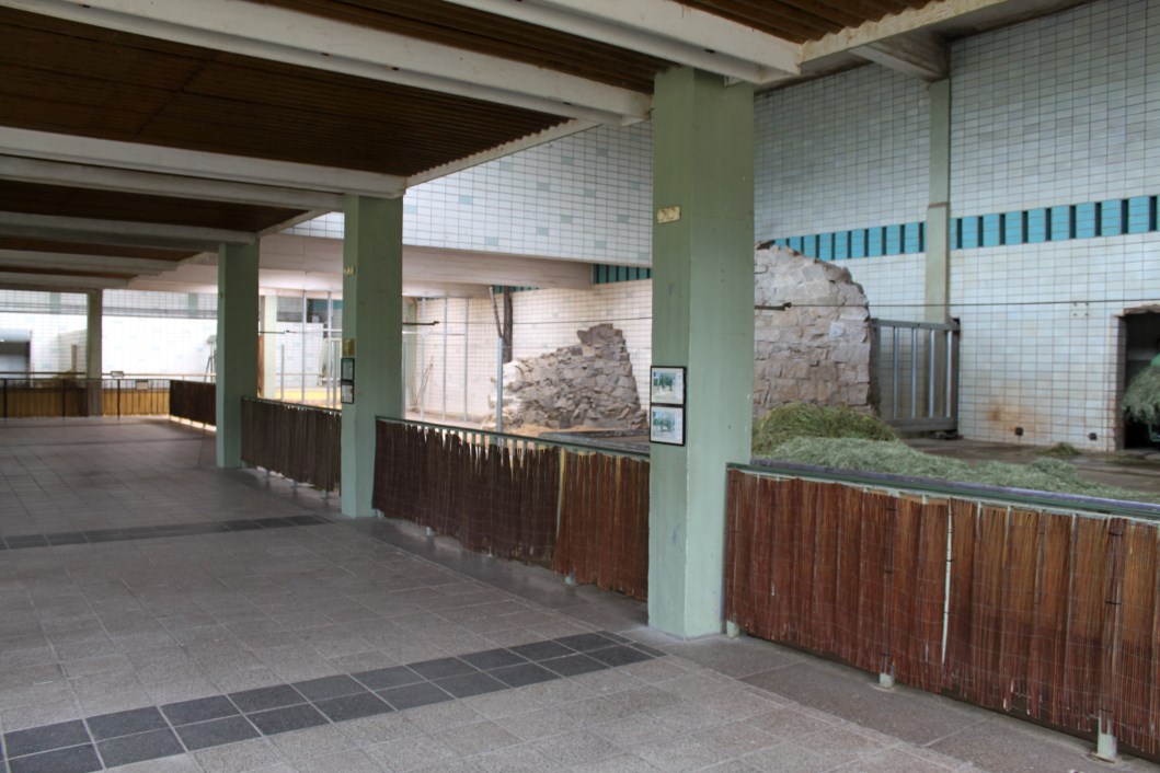 Magdeburg Zoo - Pachyderm House