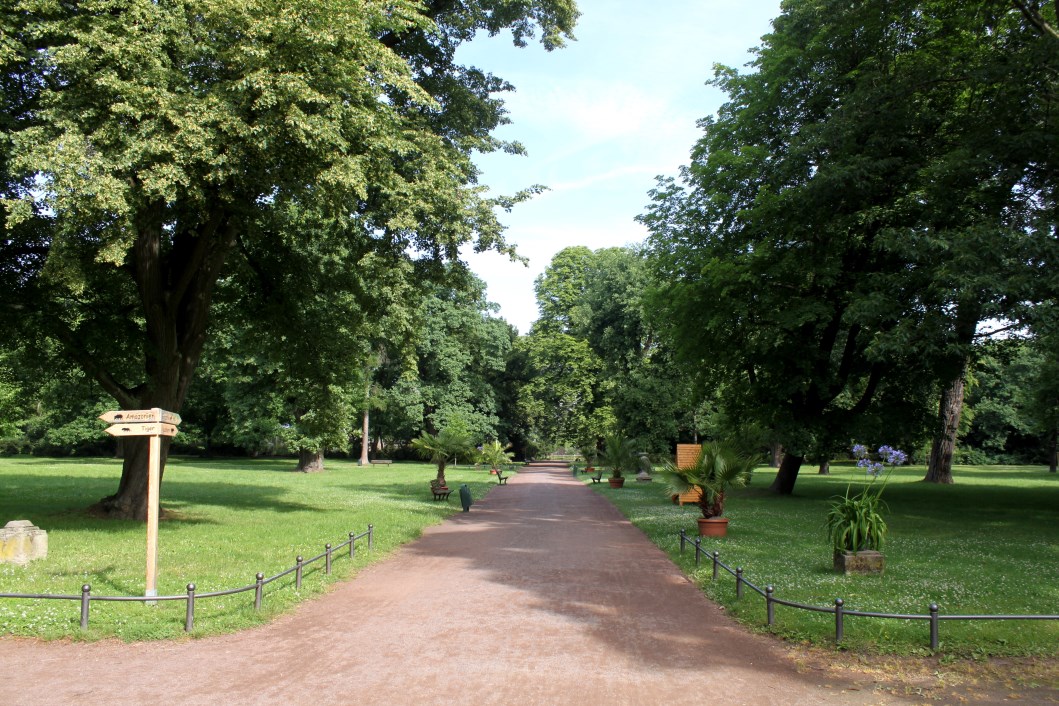 Magdeburg Zoo - Park landscape