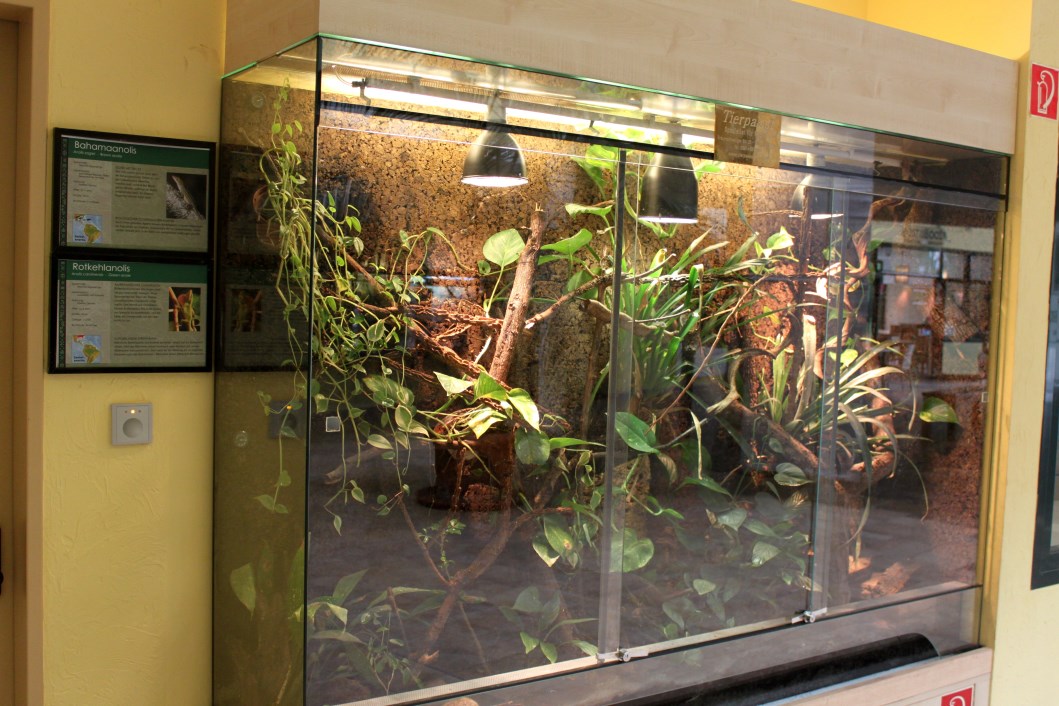 Magdeburg Zoo - Zoowelle (Terrarium)