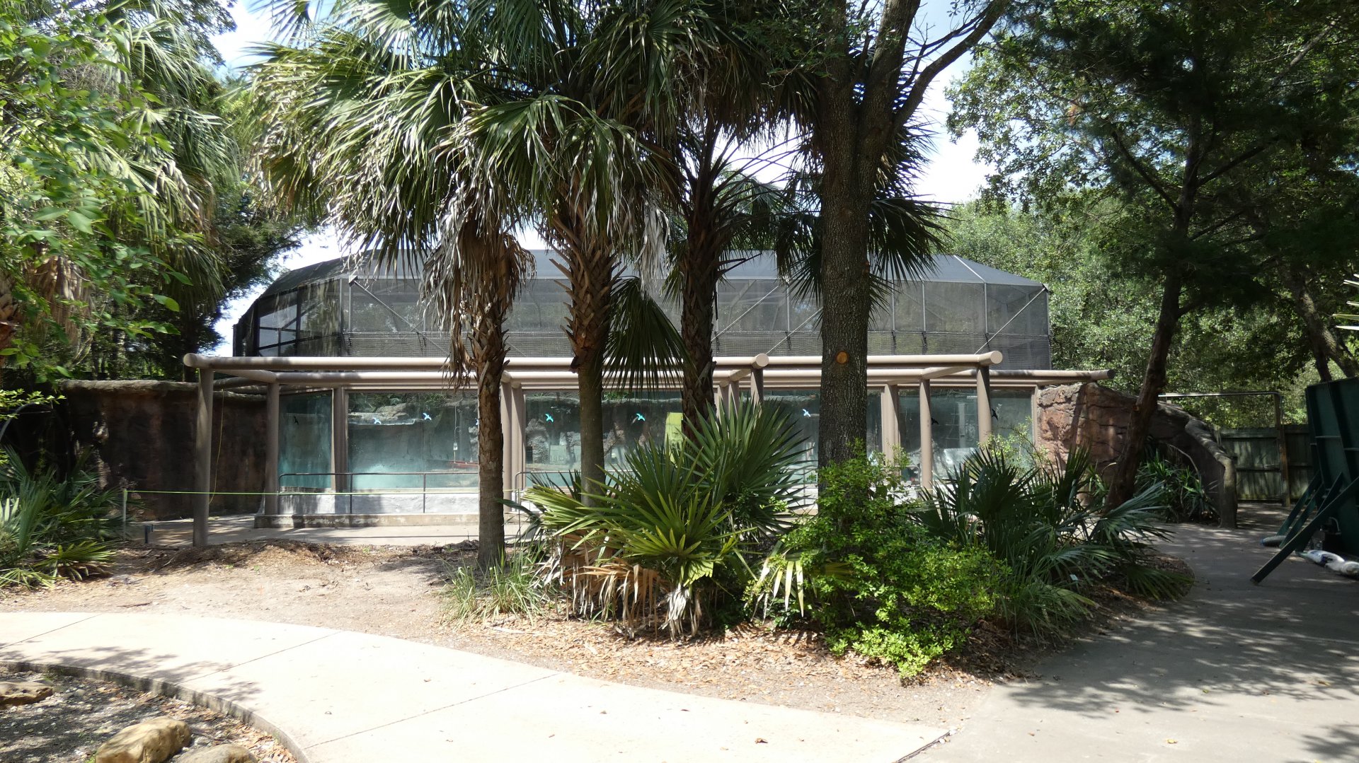Magellanic Penguin Exhibit Construction ("Tuxedo Coast"), Play Park - June 2022