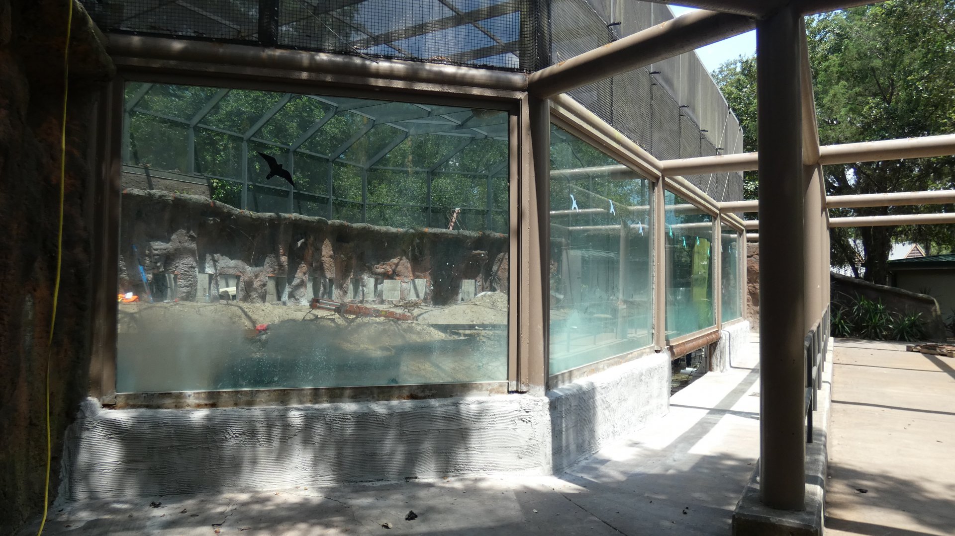 Magellanic Penguin Exhibit Construction ("Tuxedo Coast"), Play Park - June 2022