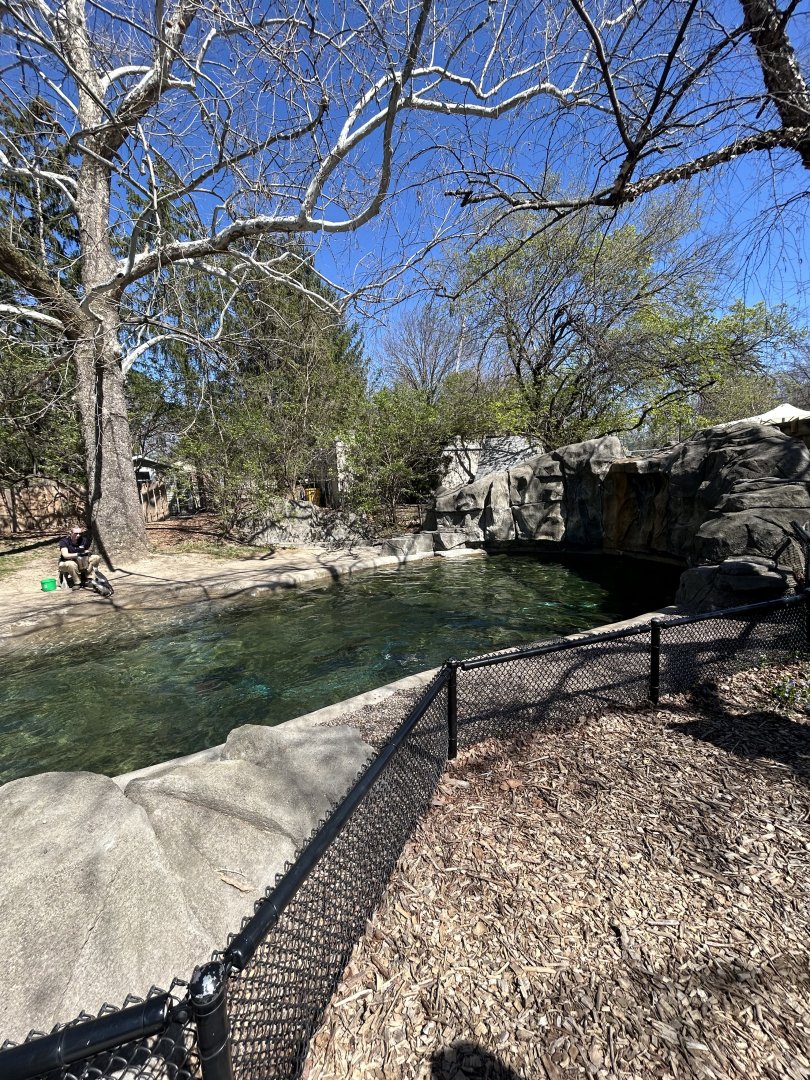 Magellanic Penguin Exhibit (Wide Angle)