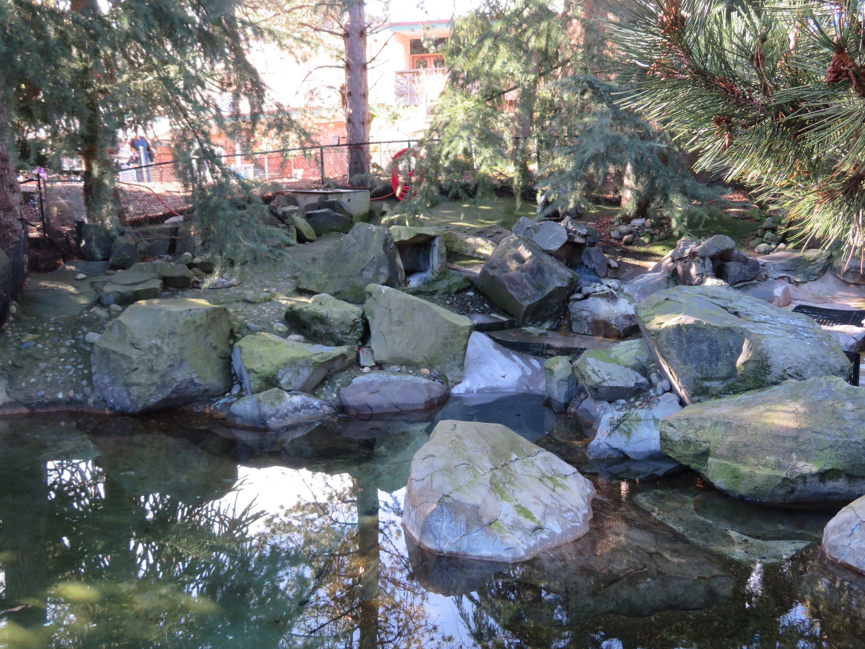 Magellanic Penguin Exhibit