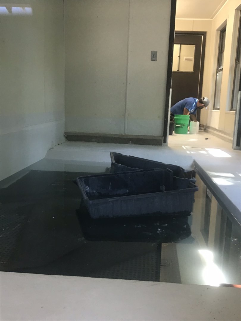 Magellanic penguin indoor exhibit