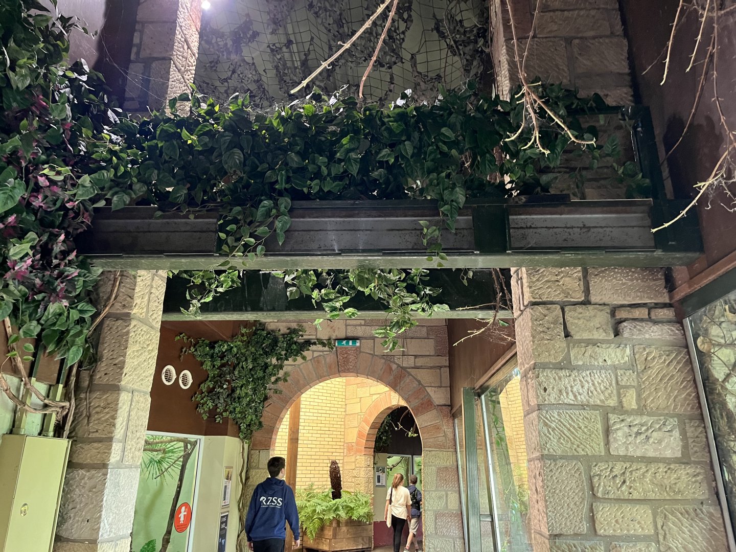 Magic forest- monkey overhead tunnels to indoor and outdoor enclosure 9.9.23