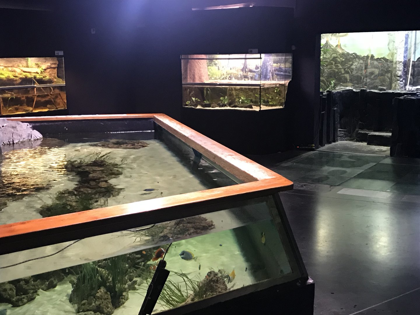 Magic Mountain - Aquarium section 171018