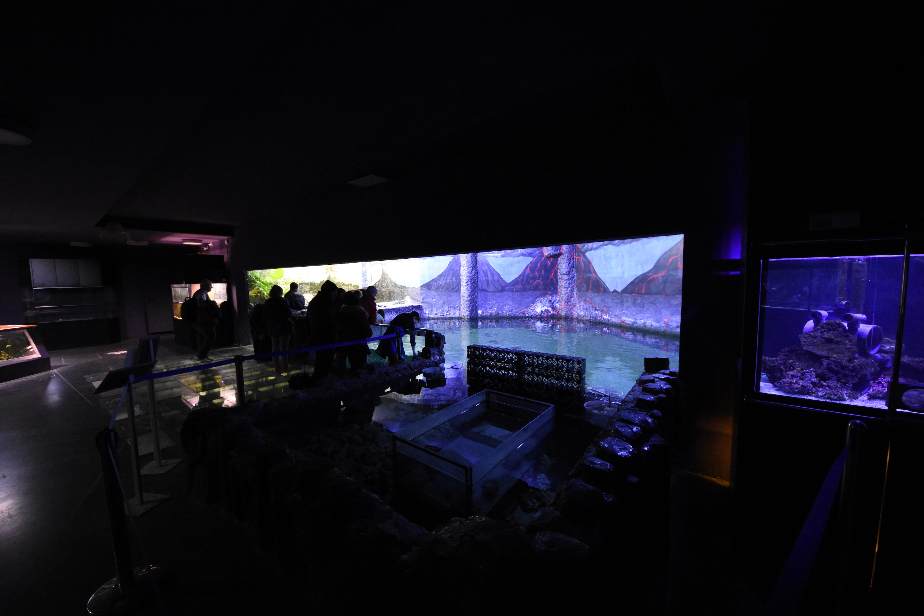 Magic mountain - Aquarium section