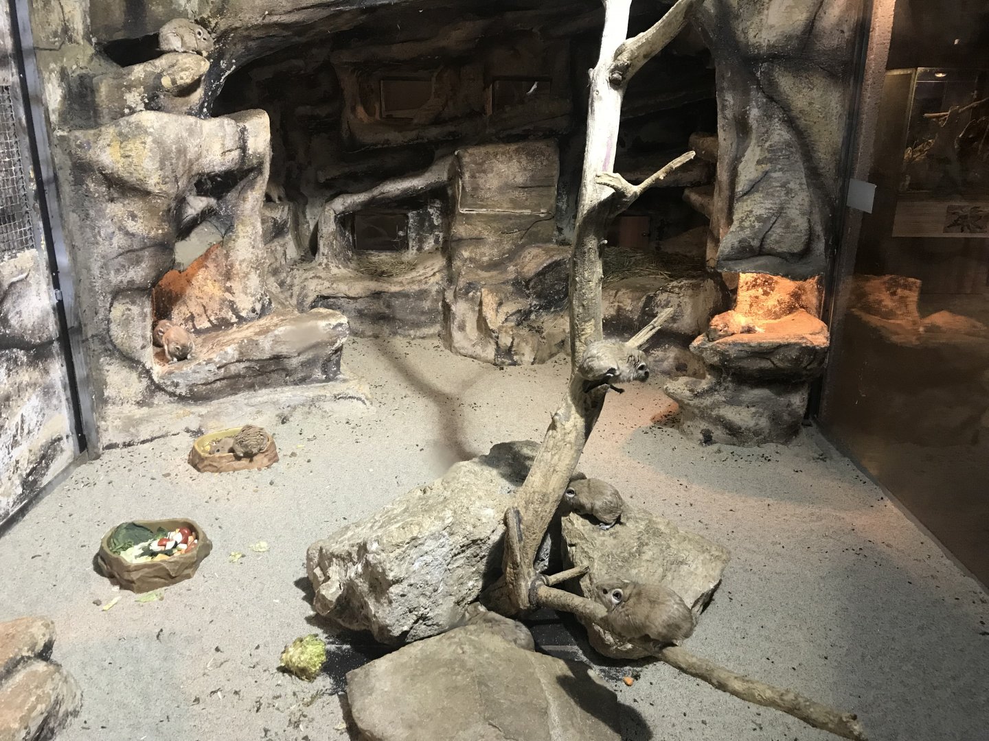 Magic Mountain - Gundi exhibit 171018