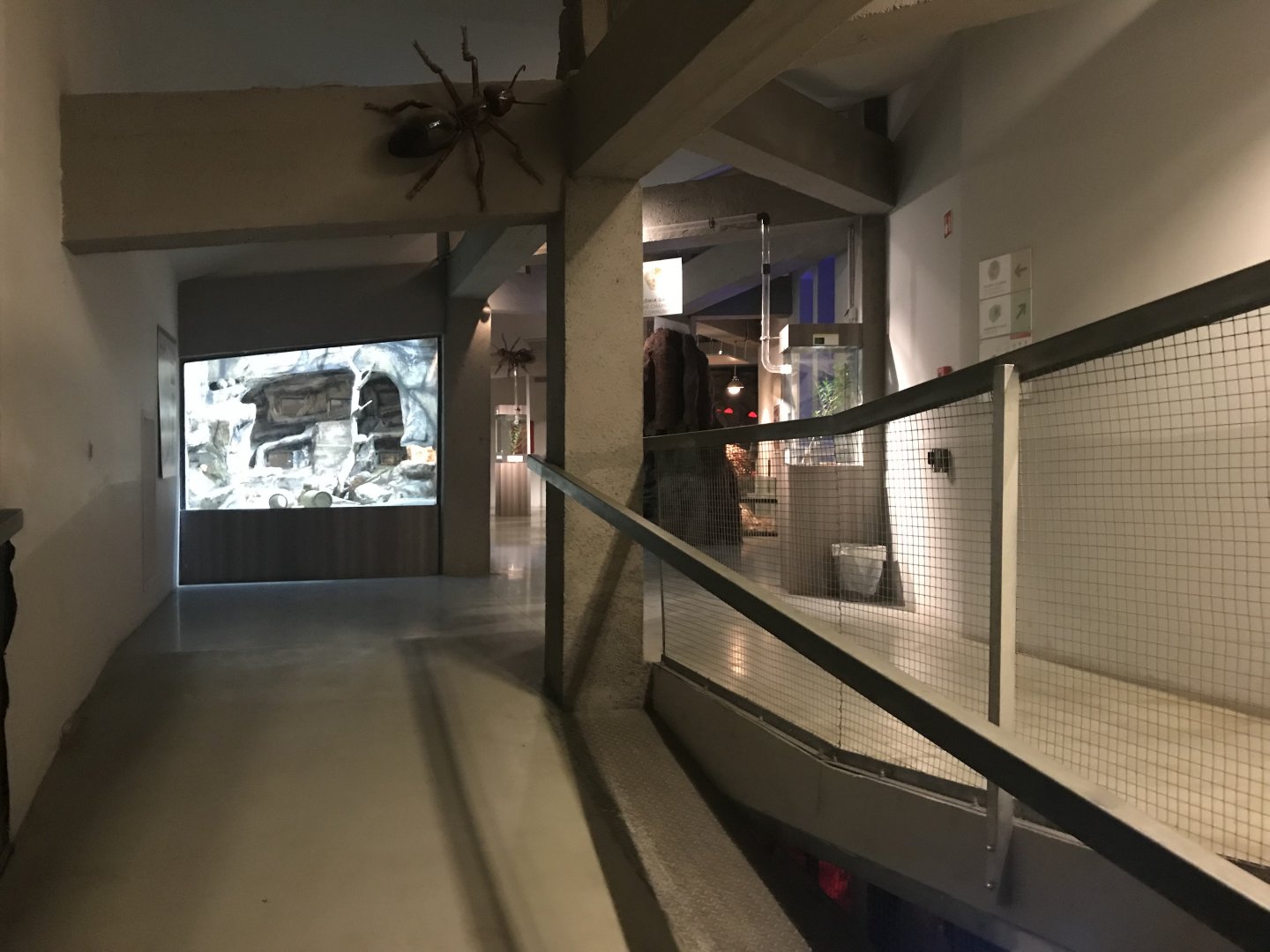 Magic Mountain indoors 171018