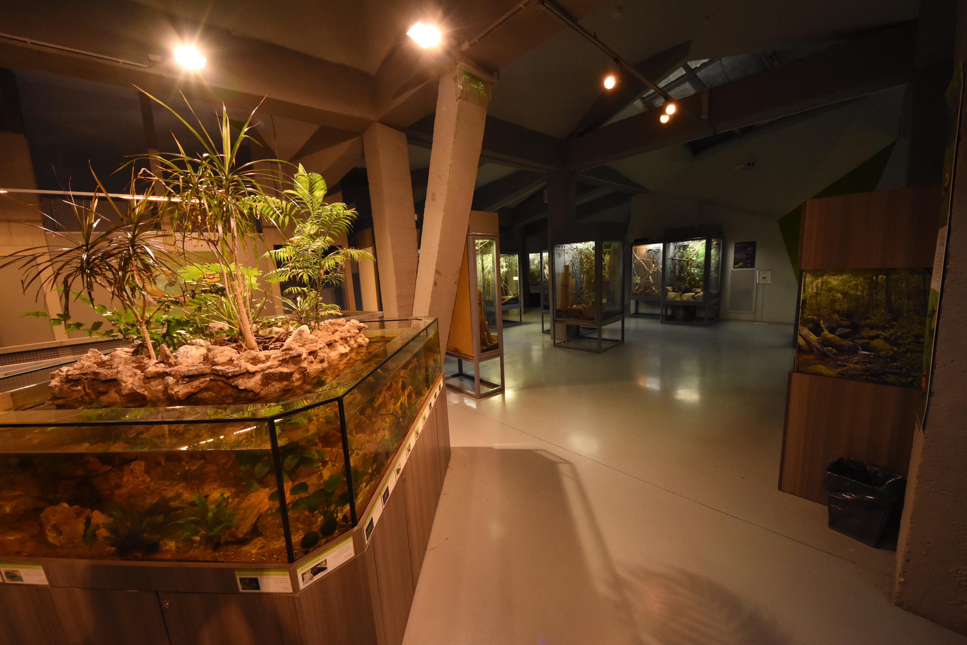 Magic mountain - Invertebrate displays