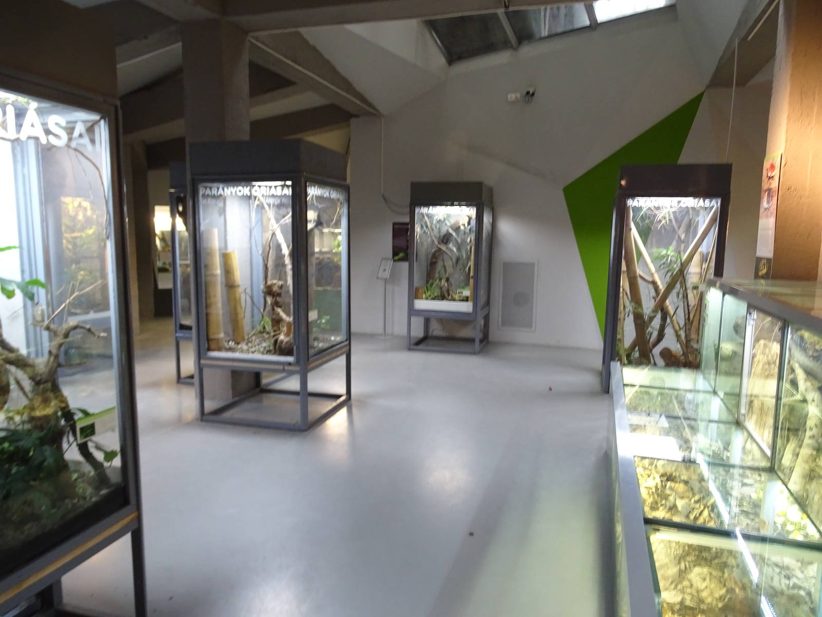 Magic Mountain - Micro Zoo