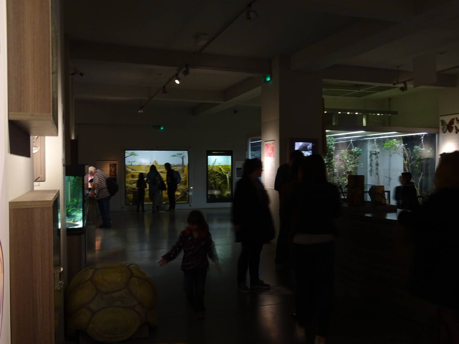 Magic Mountain - school of Life