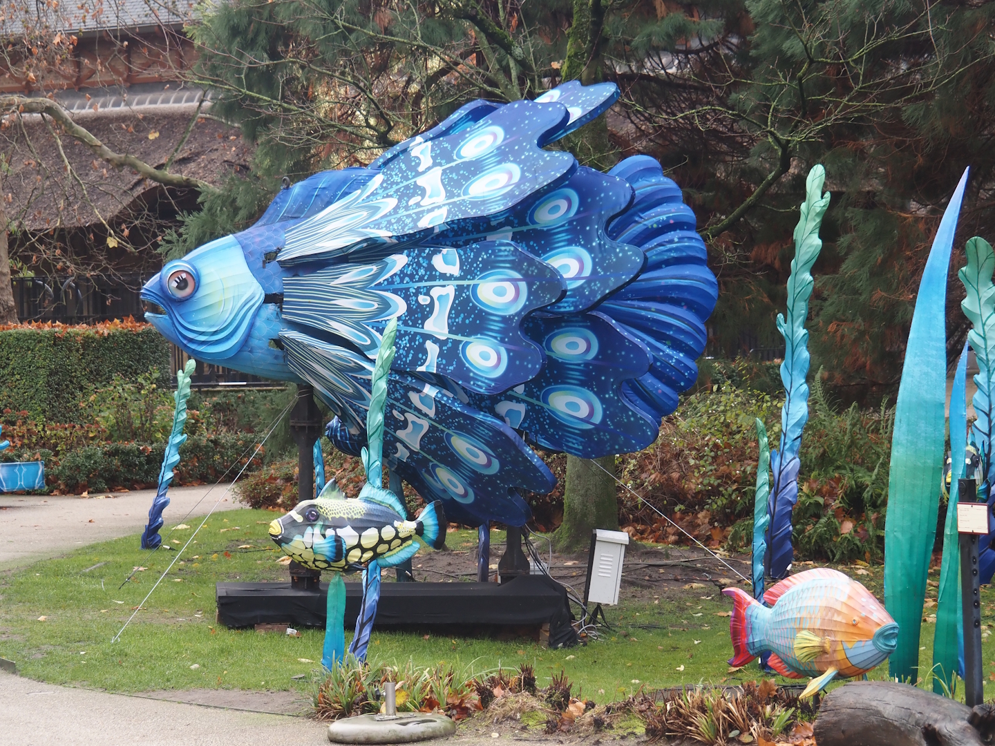 Magic Ocean Chinese lights festival - Betta, 2025-11-30