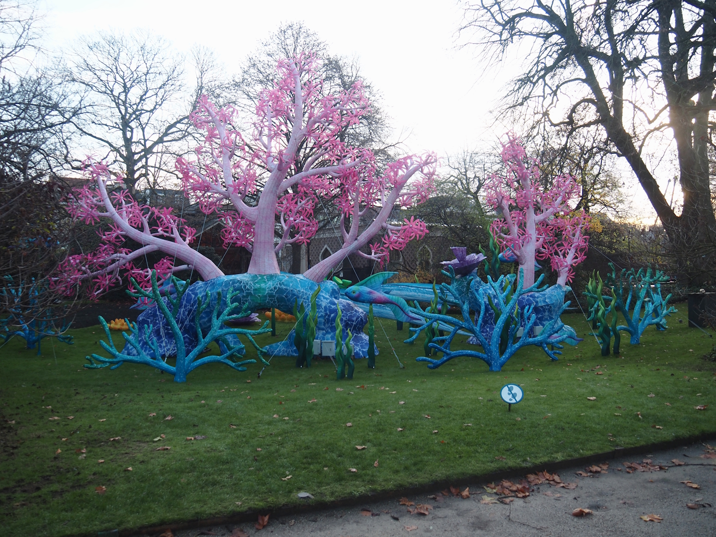 Magic Ocean Chinese lights festival - Reef structures, 2025-11-30