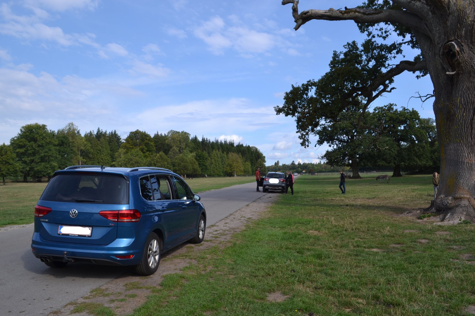 Maglemermarken in Knuthenborg