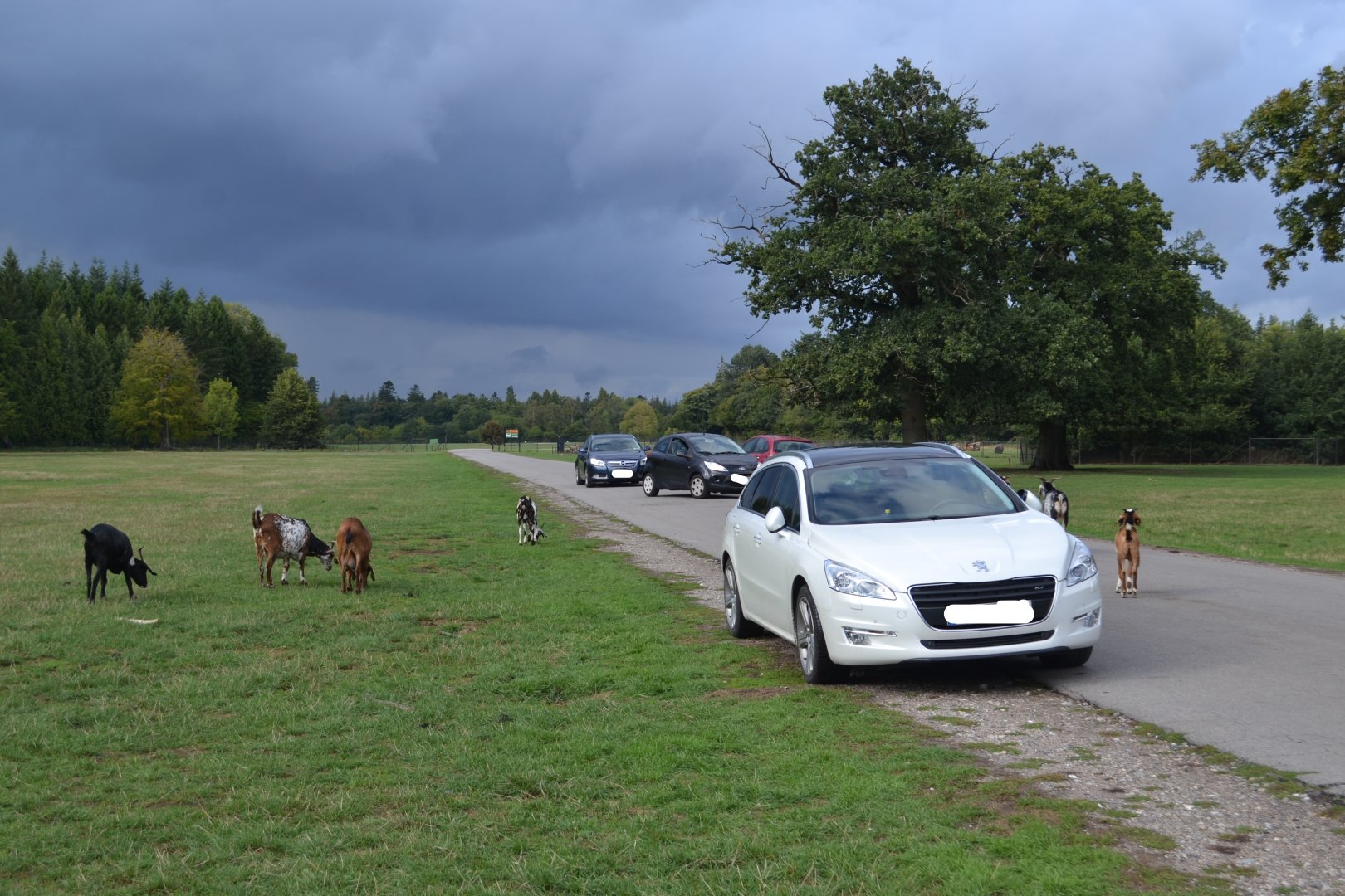 Maglemermarken in Knuthenborg