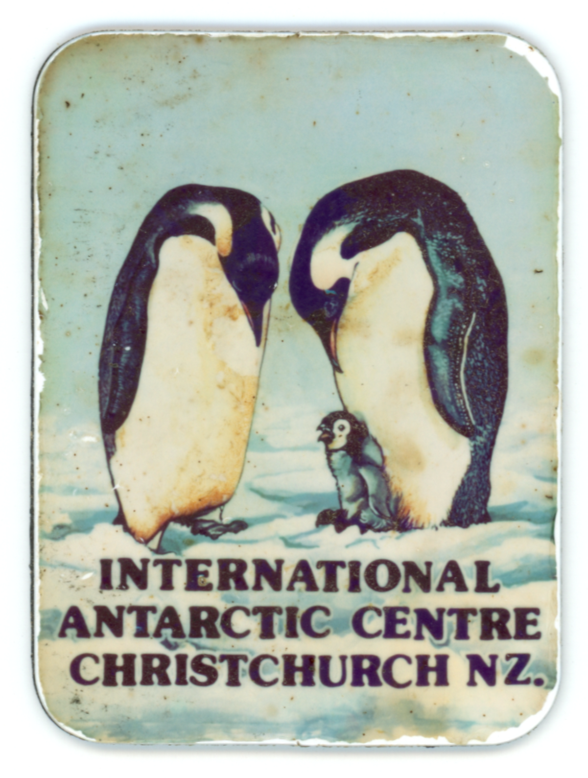 Magnet from the International Antarctic Centre (Christchurch)
