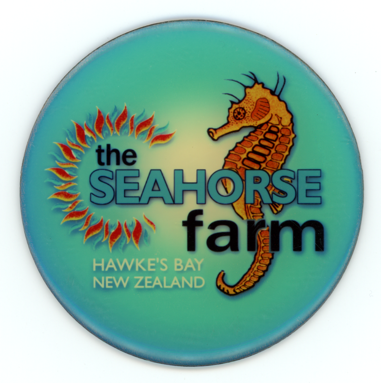 Magnet from The Seahorse Farm (Hawke’s Bay) (Closed in 2006)