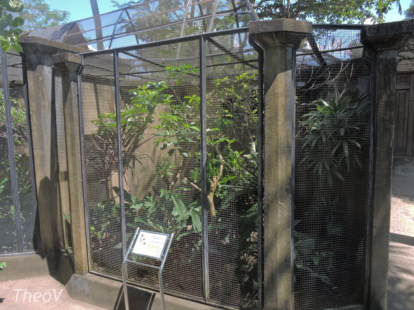 Magnificent bird-of-paradise aviary [2016]