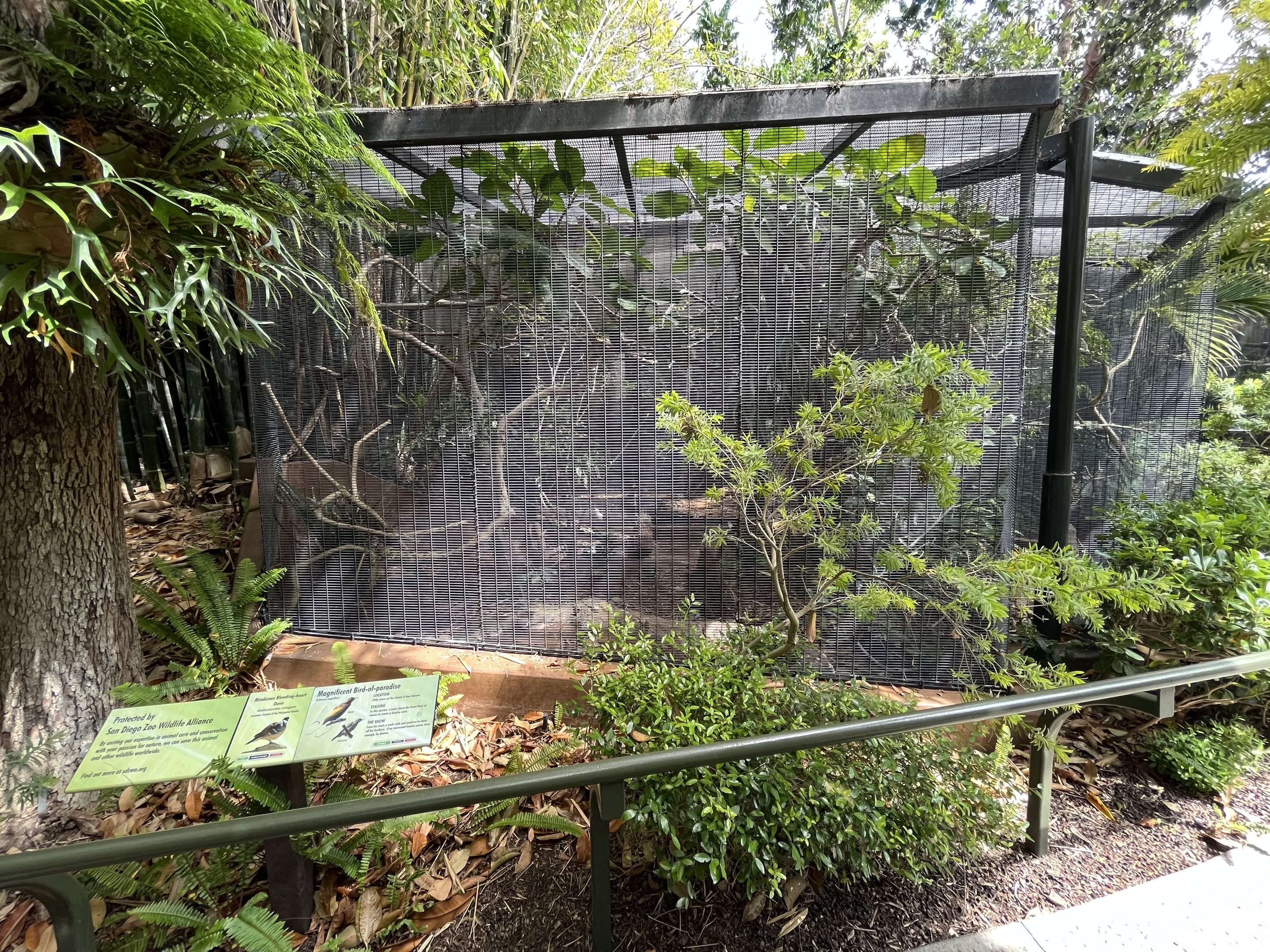 Magnificent Bird of Paradise Aviary