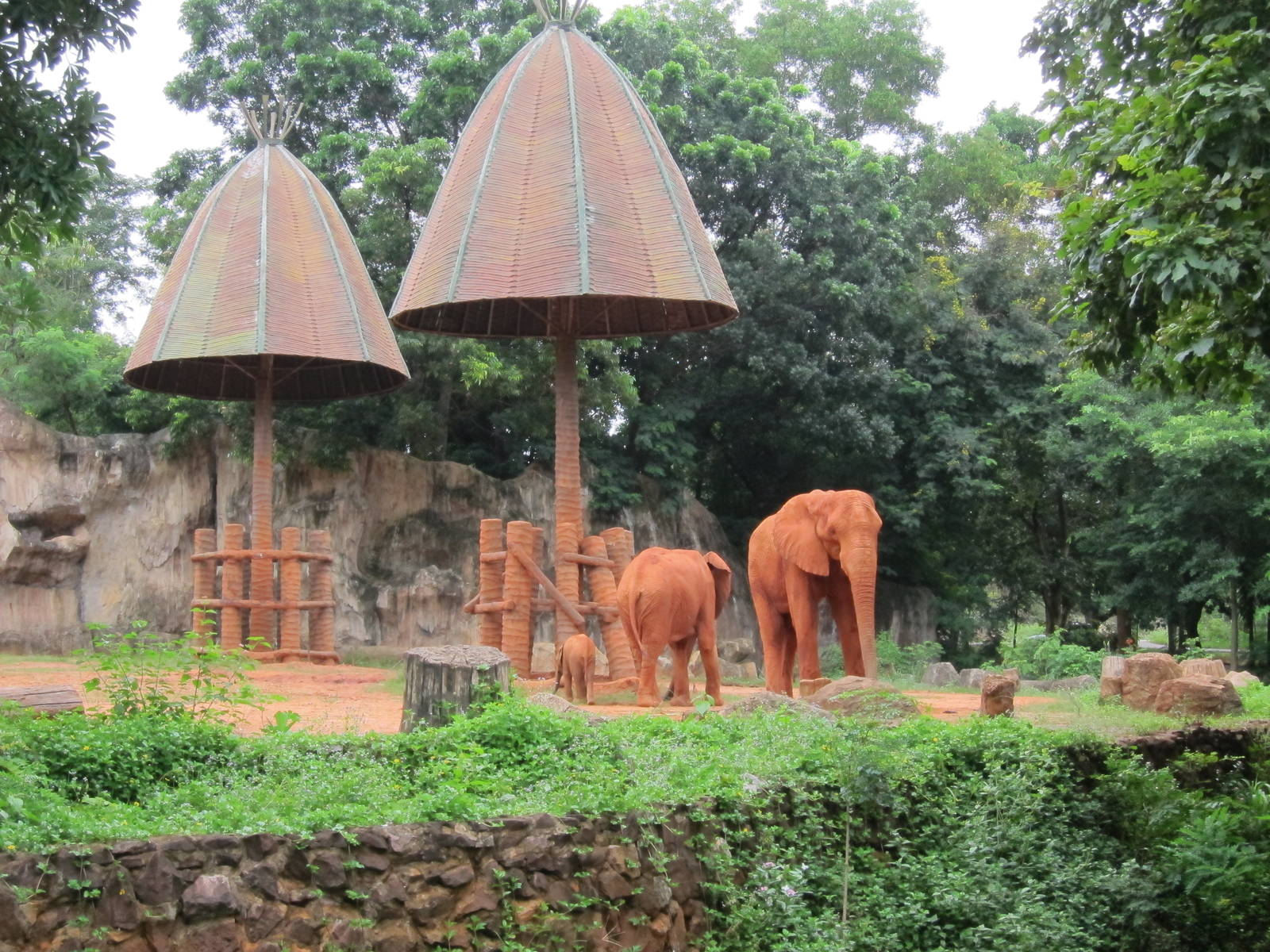 Magnificent Red Elephants