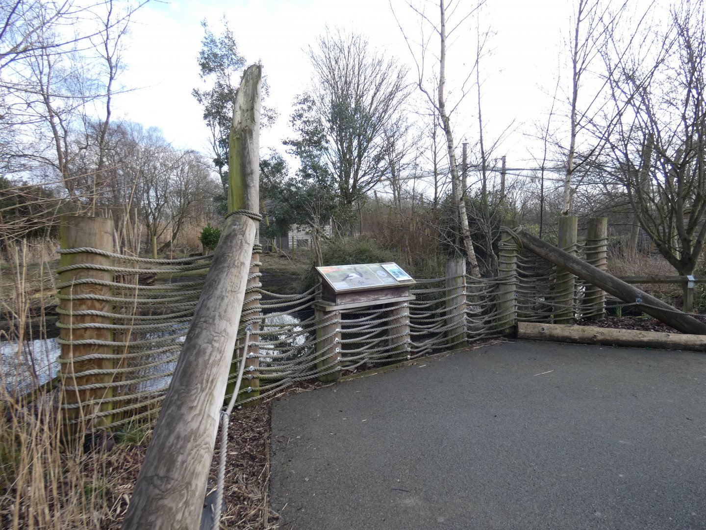 Magpie goose viewing area