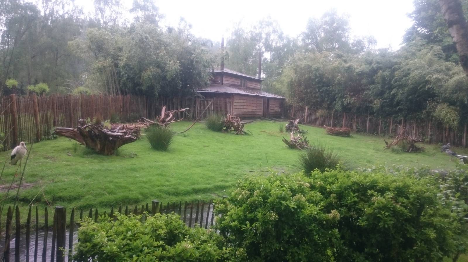 Maguari - Muntjac and Screamer enclosure