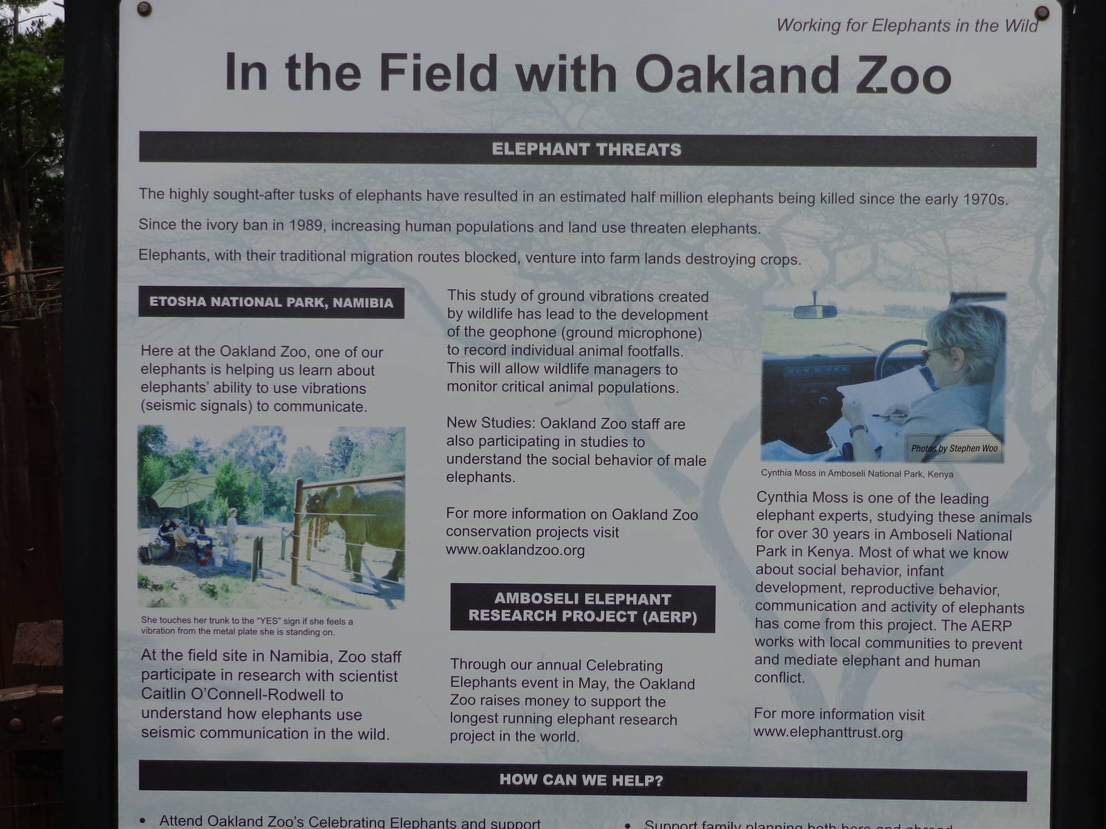 Mahali Pa Tembo Signage #1