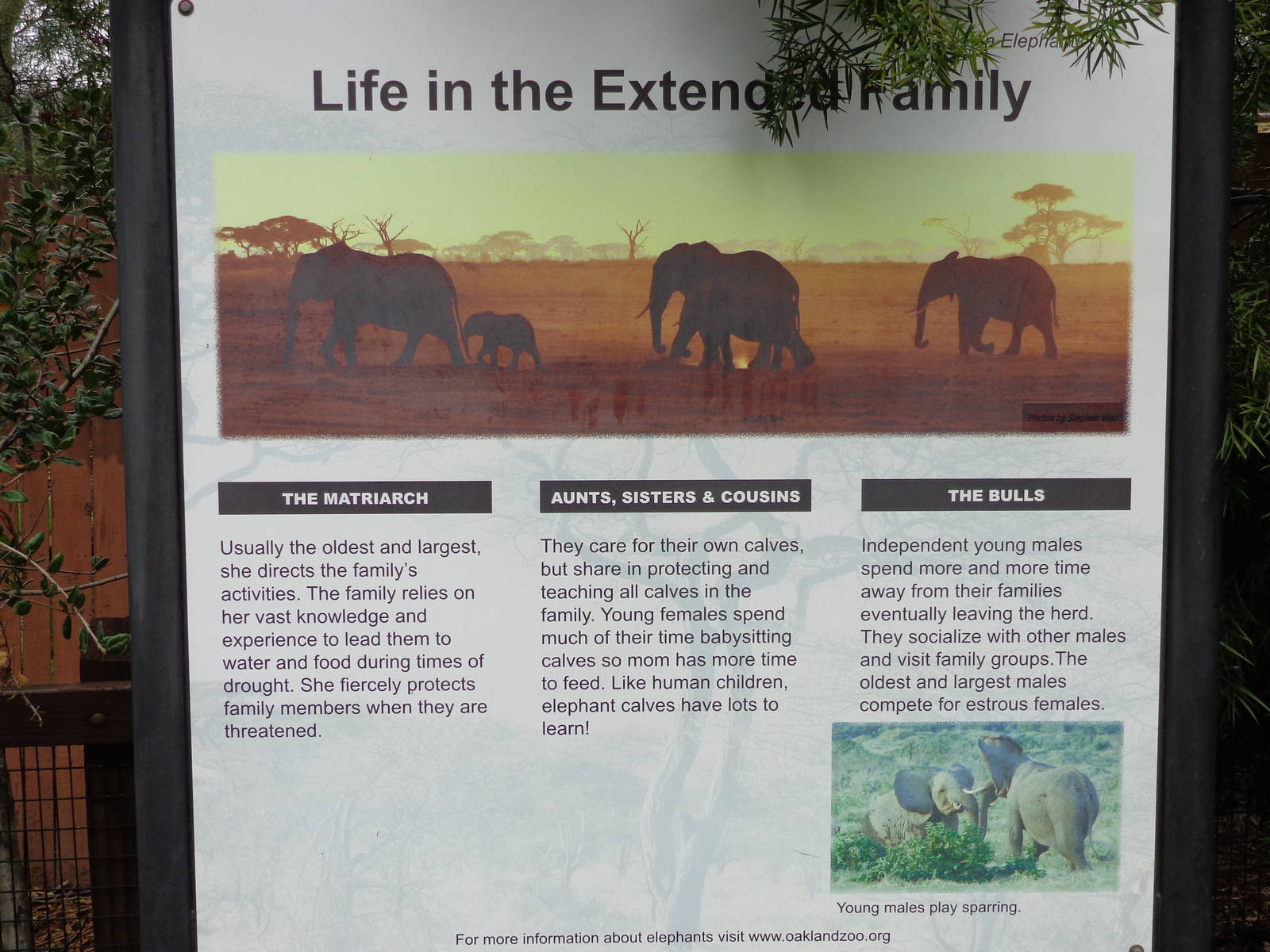 Mahali Pa Tembo Signage #2